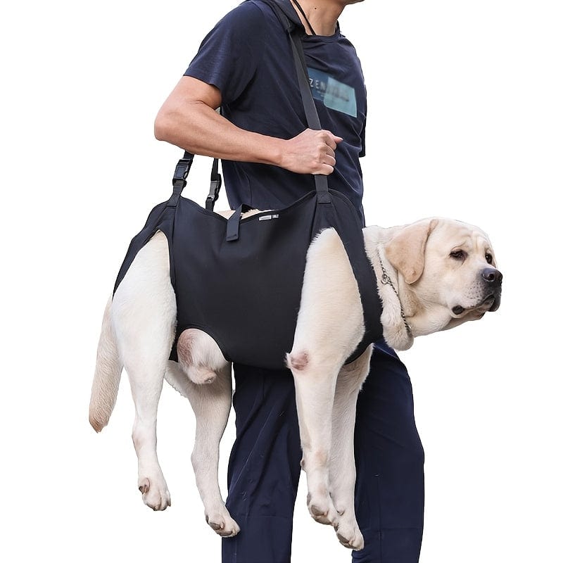 Harnais de soutien pour chien – Assistance mobilité & transport sécurisé One PETS-TOP