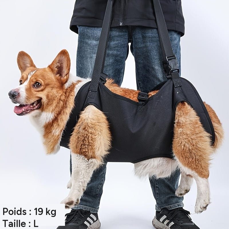 harnais de soutien pour chien mobilite et transport One Pets Top