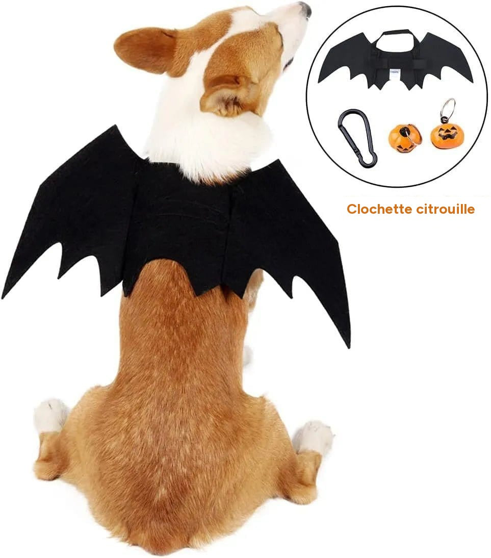 Ailes De Chauve-Souris Canines : Bell-O-Ween 🎃 - One PETS-TOP – en situation