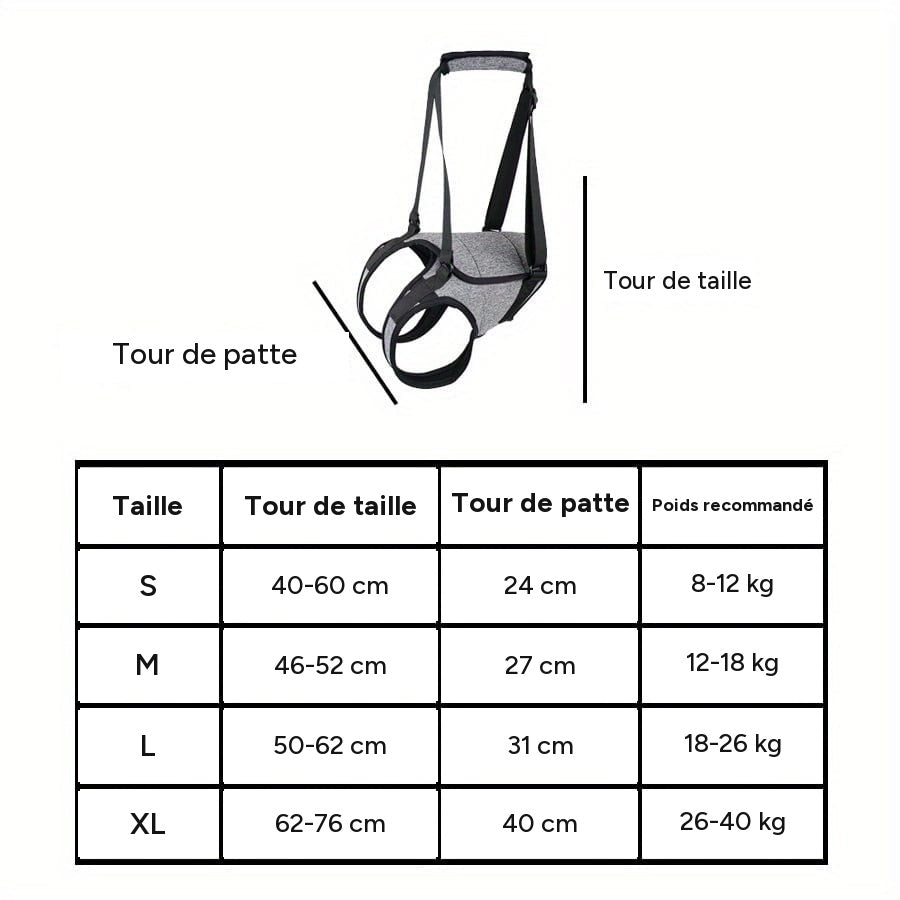 Harnais de soutien pattes arrière chien – Aide mobilité & rééducation – One PETS-TOP – détail