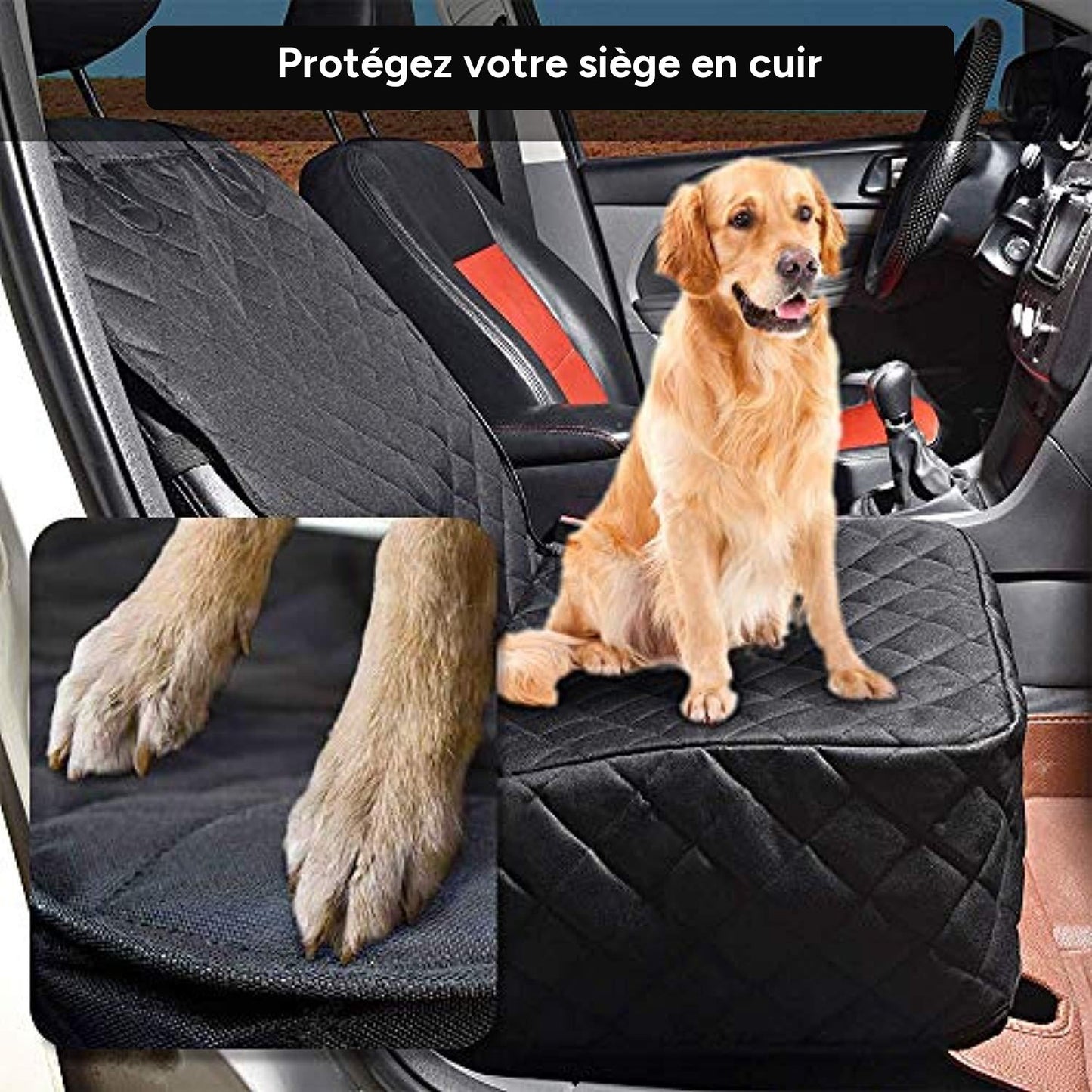 Housse de siège avant pour chien - dimensions