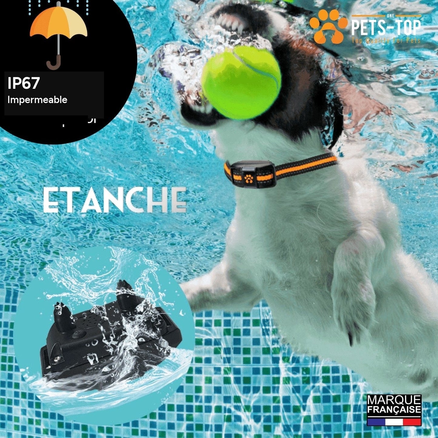 Collier de dressage etanche IP67