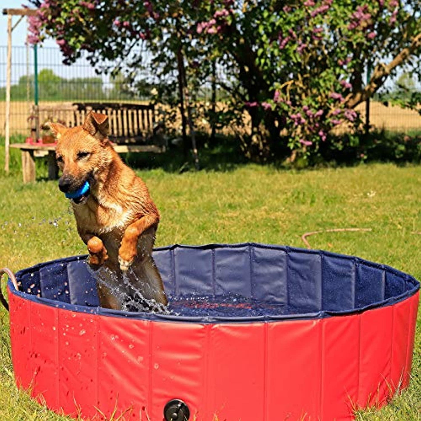Piscine Pliable En Pvc Pour Chien 80 Cm - One PETS-TOP
