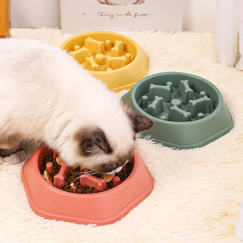 Bol Slow Food Pour Chiens Et Chats 🐾 - One PETS-TOP