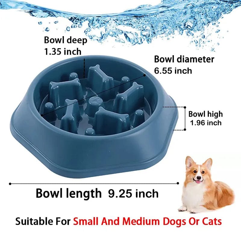 Bol Slow Food Pour Chiens Et Chats 🐾 - One PETS-TOP
