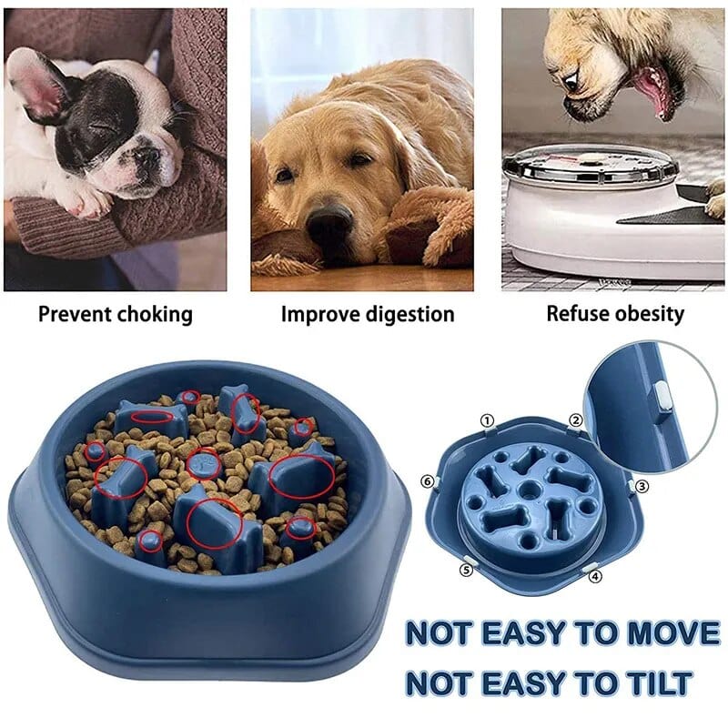 Bol Slow Food Pour Chiens Et Chats 🐾 - One PETS-TOP