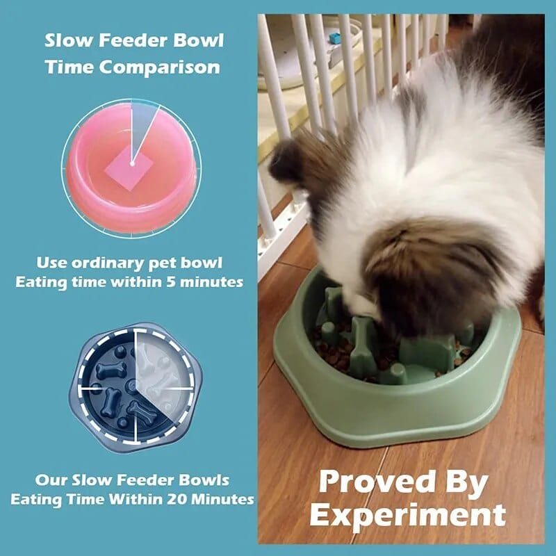 Bol Slow Food Pour Chiens Et Chats 🐾 - One PETS-TOP