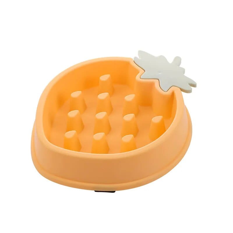 Bol Slow Food Pour Chiens Et Chats 🐾 - One PETS-TOP