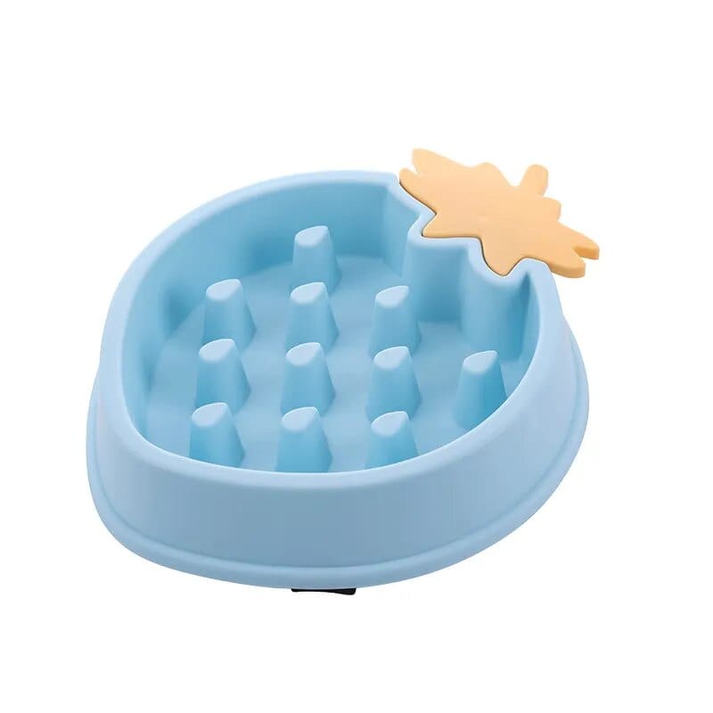Bol Slow Food Pour Chiens Et Chats 🐾 - One PETS-TOP