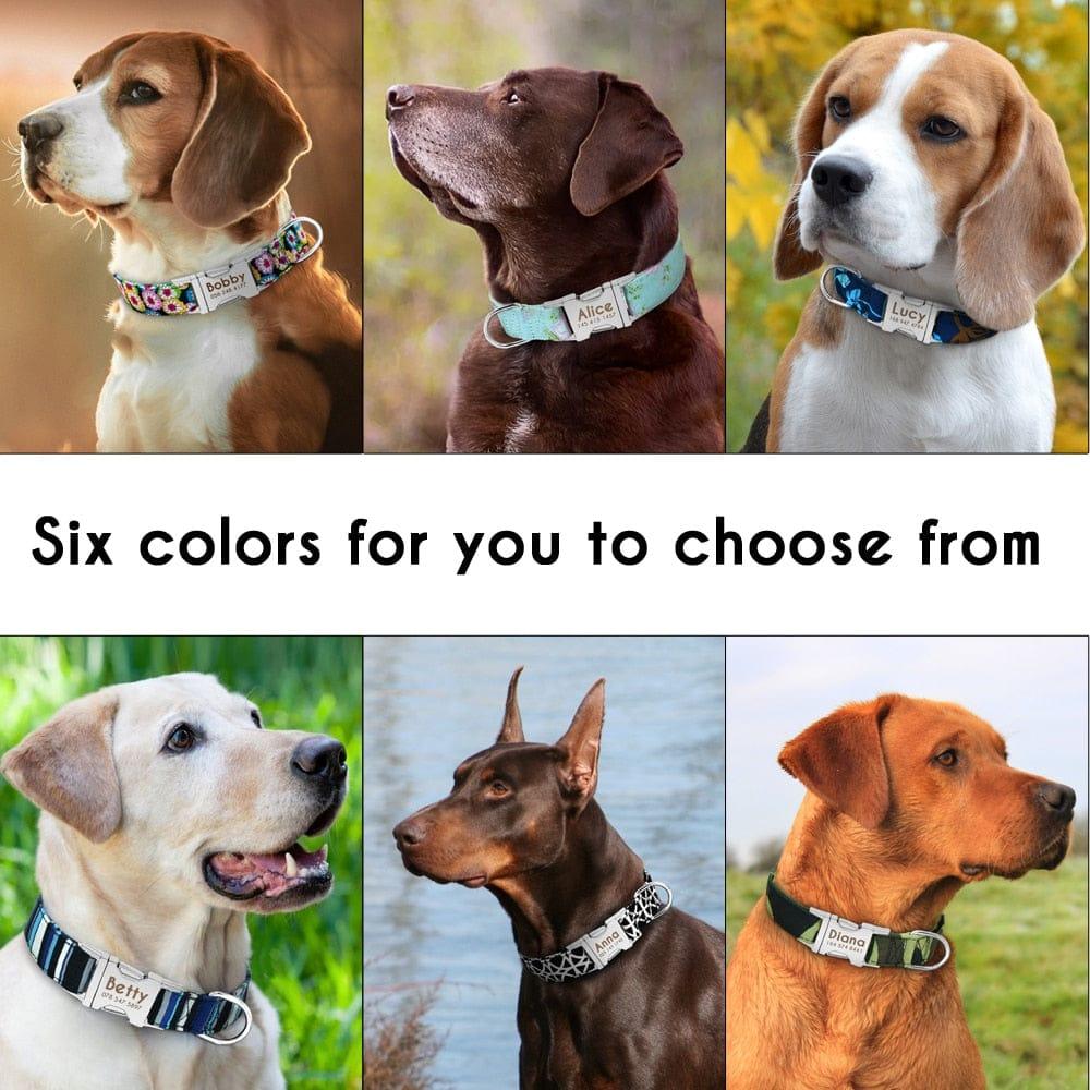 Collier Chien Chat Personnalisable Gravé - One PETS-TOP