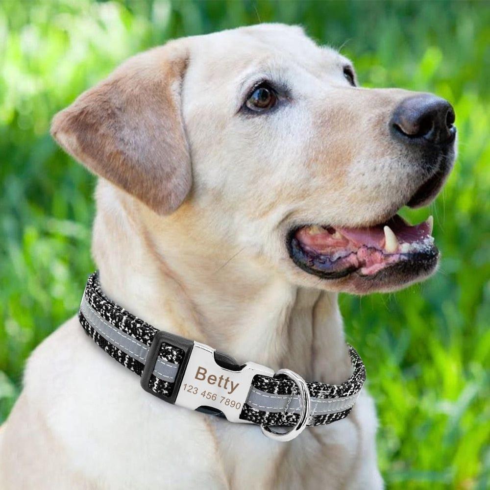 Collier Chien Chat Personnalisable Réfléchissant - One PETS-TOP