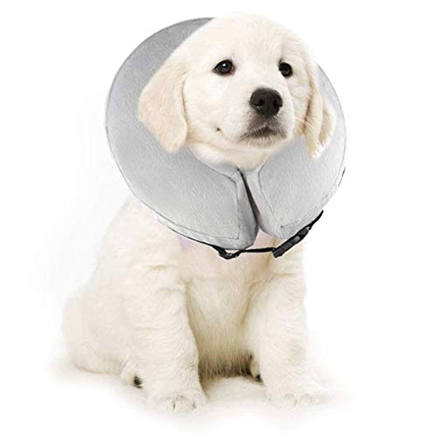 Collier Gonflable De Récupération Rétablissement Protecteur Doux Pour Chiens Et Chats Xh003 (L, Grey) - One PETS-TOP
