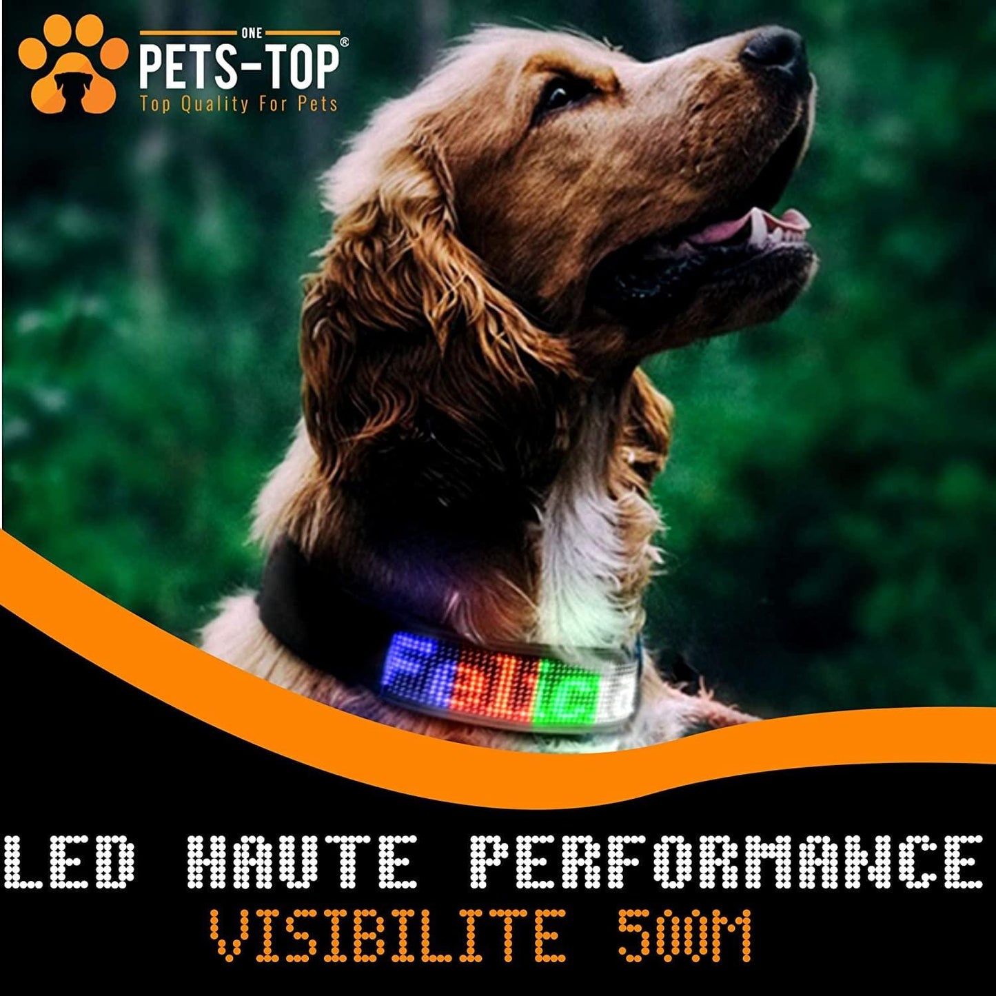 Collier Led Chien Idled™ Rechargeable Lumineux Message Personnalise Ajustable Clignotant - One PETS-TOP