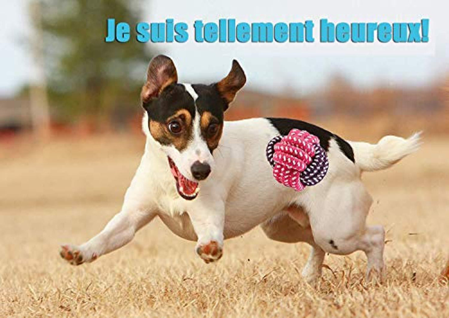 Ensemble Lot De 10 De Jouets Pour Chien, Durables Mâcher Corde Jouet Solitude Petits Et Moyens Chiens Santé - One PETS-TOP