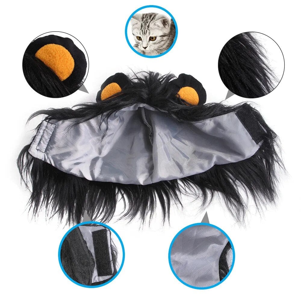 Lion King Cat Costume 🦁🐱 - One PETS-TOP