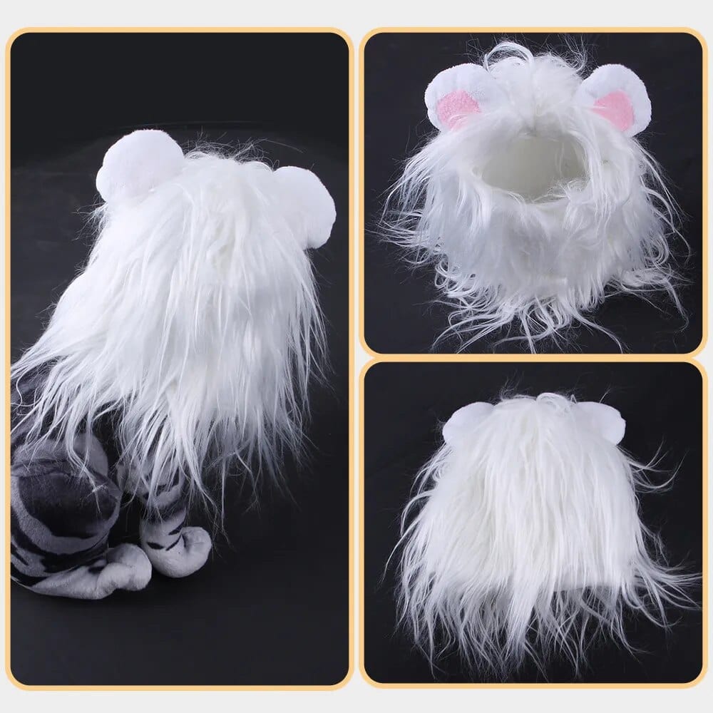 Lion King Cat Costume 🦁🐱 - One PETS-TOP