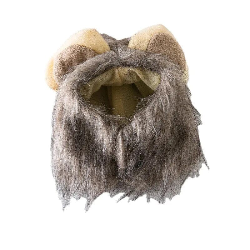 Lion King Cat Costume 🦁🐱 - One PETS-TOP