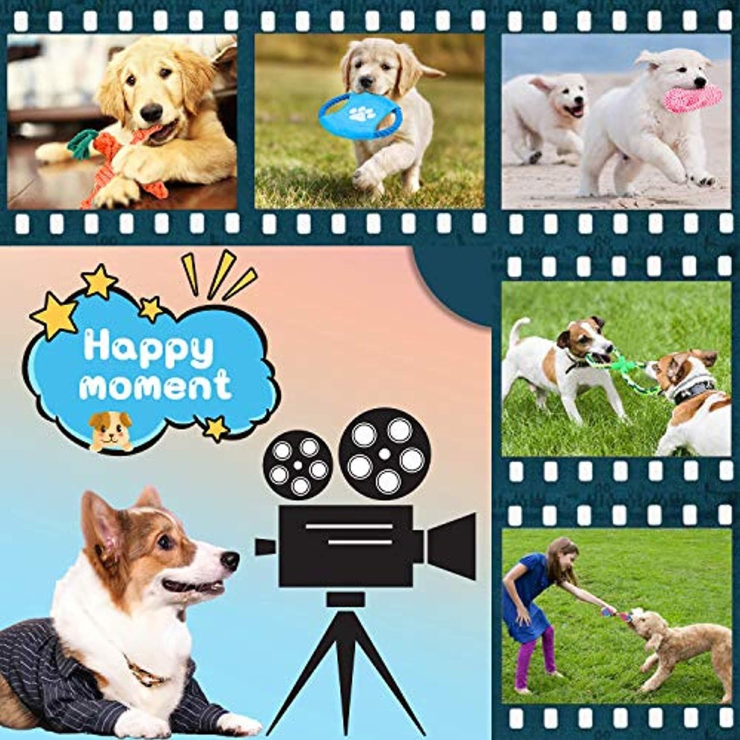 Lot De 10 Jouets Chien Chiot, Durables Jouet Corde Chien, Jouet À Mâcher Corde De Dentition Pour Petit Et Moyen Chien, Jouet Interactif Chien Avec Cordon De Tirage Frisbee Balle Duck Carotte - One PETS-TOP