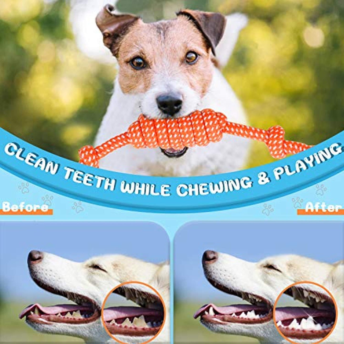 Lot De 10 Jouets Chien Chiot, Durables Jouet Corde Chien, Jouet À Mâcher Corde De Dentition Pour Petit Et Moyen Chien, Jouet Interactif Chien Avec Cordon De Tirage Frisbee Balle Duck Carotte - One PETS-TOP