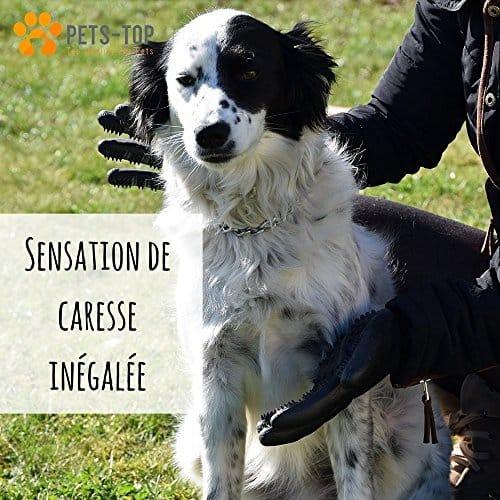 One Pets-Top Nouveau 2019 Paire Gant Ramasse Brosse Toilettage Poils Animaux Chien Chat Cheval Lapin Anti Boule De Poils, Elimine Les Poils, Anti Poils Courts Et Longs Efficace Ergonomique - One PETS-TOP