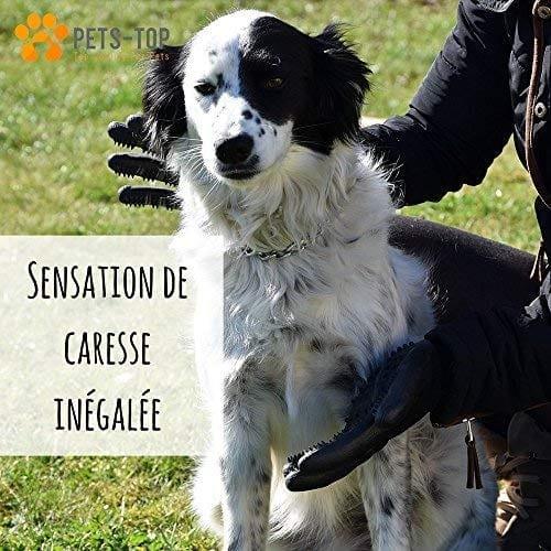 One Pets-Top Nouveau 2019 Paire Gant Ramasse Brosse Toilettage Poils Animaux Chien Chat Cheval Lapin Anti Boule De Poils, Elimine Les Poils, Anti Poils Courts Et Longs Efficace Ergonomique - One PETS-TOP