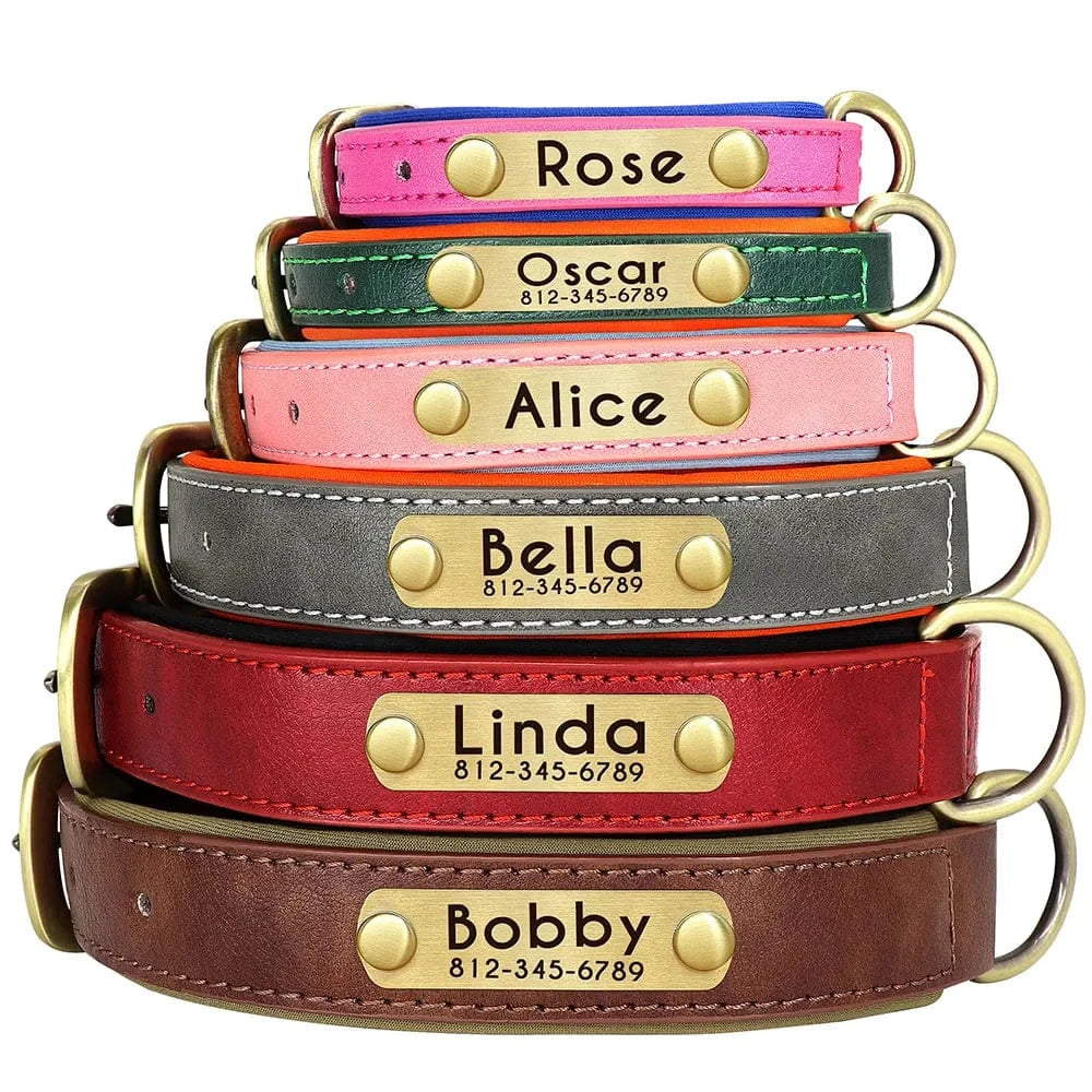 🐾 Collier en Cuir Personnalisé pour Chien – Avec Plaque Gravée Nom & Téléphone - One PETS-TOP