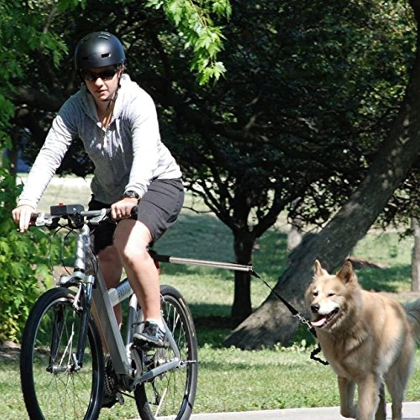 Poppy Pet Dog Bicycle Leash, Hands Free Bike Exerciser Lead Pour Chiens, Stabilité Contrôlée Cyclisme, Course Et Exercice De Marche Pour Vous Et Votre Chien, Noir, Pratique Et Utile - One PETS-TOP