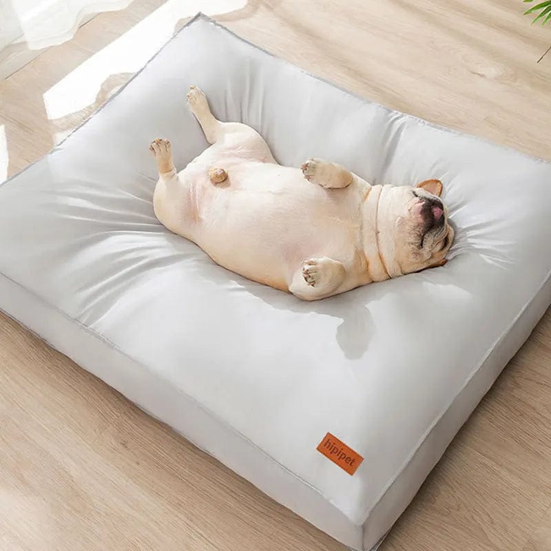 Tapis De Couchage Imperméable Pour Animaux 🐶 - One PETS-TOP