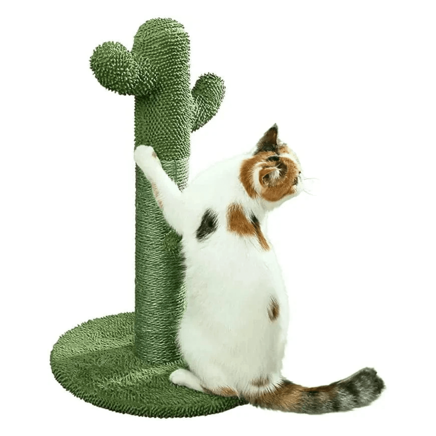 Poteau à griffer cactus pour chat – Sisal naturel & jouet interactif 40*40*65cm / Vert Cactus One PETS-TOP
