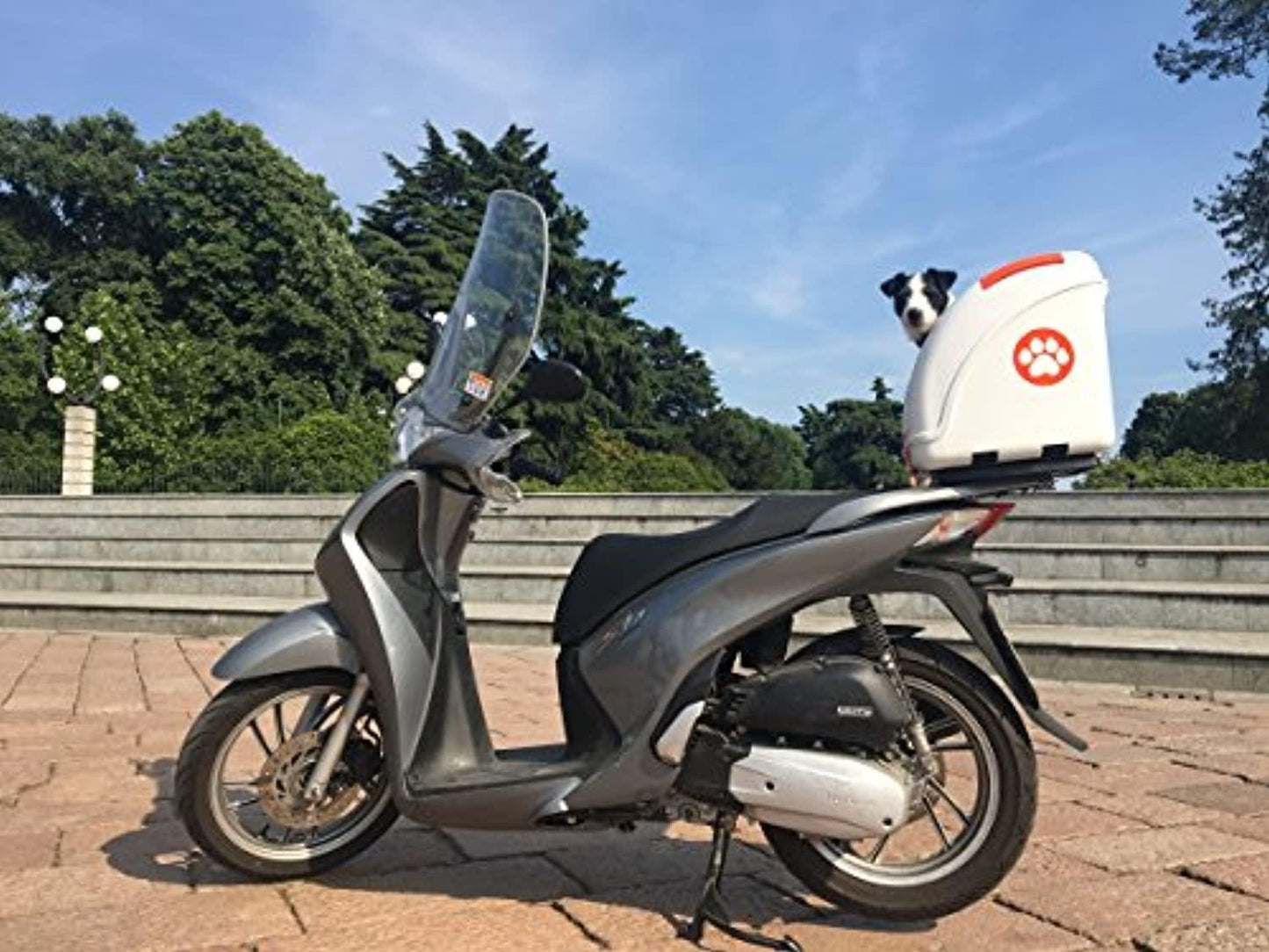 Pour Chiens Et Chats Pour Raccrocher Dans Le Cyclomoteur, Moto, Vélo Et – Peut Également Être Utilisé Pour La Voiture - One PETS - TOP