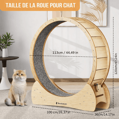 Roue d’exercice XL pour chat – Bois naturel, silencieuse & stable - One PETS - TOP