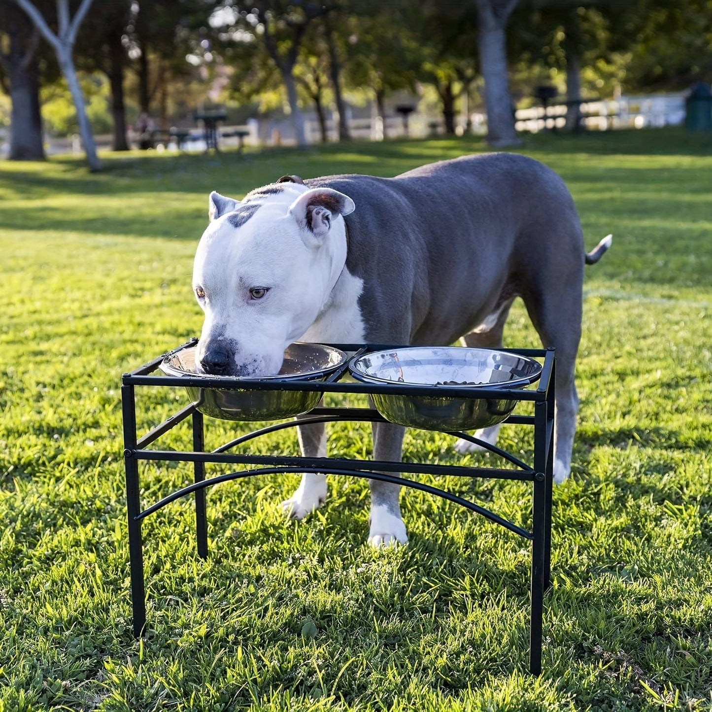 Station d’alimentation surélevée pour chien – Double gamelle inox & support métal 42*22*27CM One PETS-TOP
