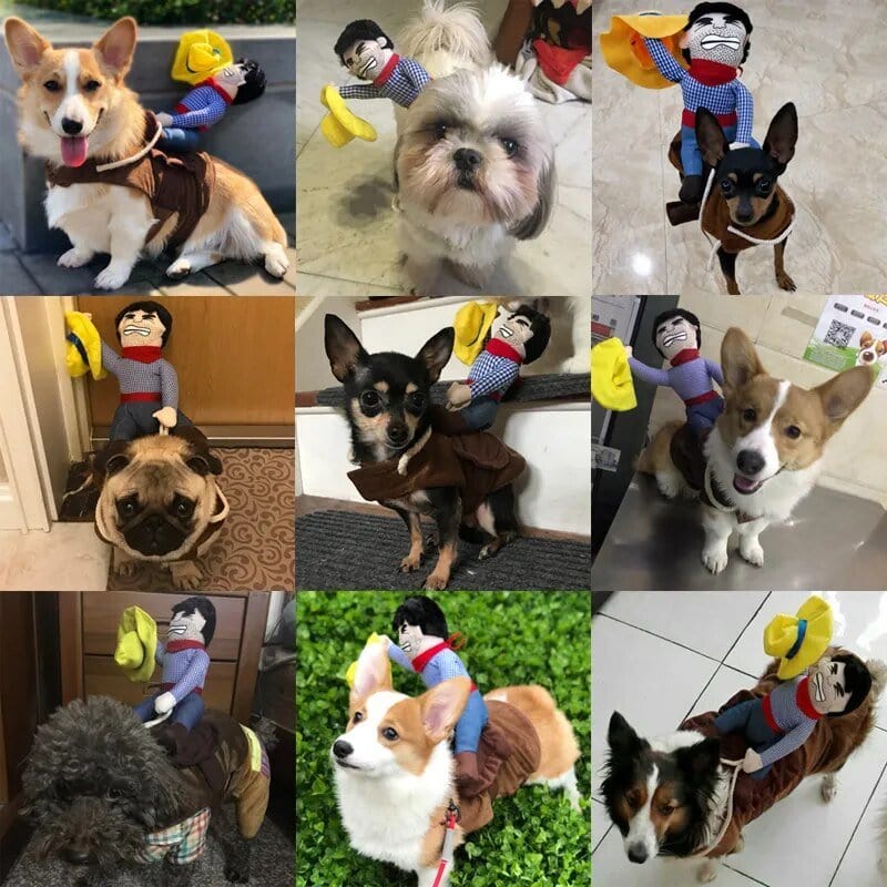 Costume Cowboy Canin : Éclat Et Rires Assurés! - One PETS - TOP