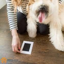 Empreinte Chien Encre Facile Easy Dogprint Noir + Cadre 10 x 15cm OFFERT One PETS-TOP