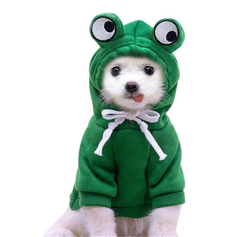Froggiewarm: Pull Capuche Grenouille Pour Chiens 🐸🐶 - One PETS-TOP – en situation