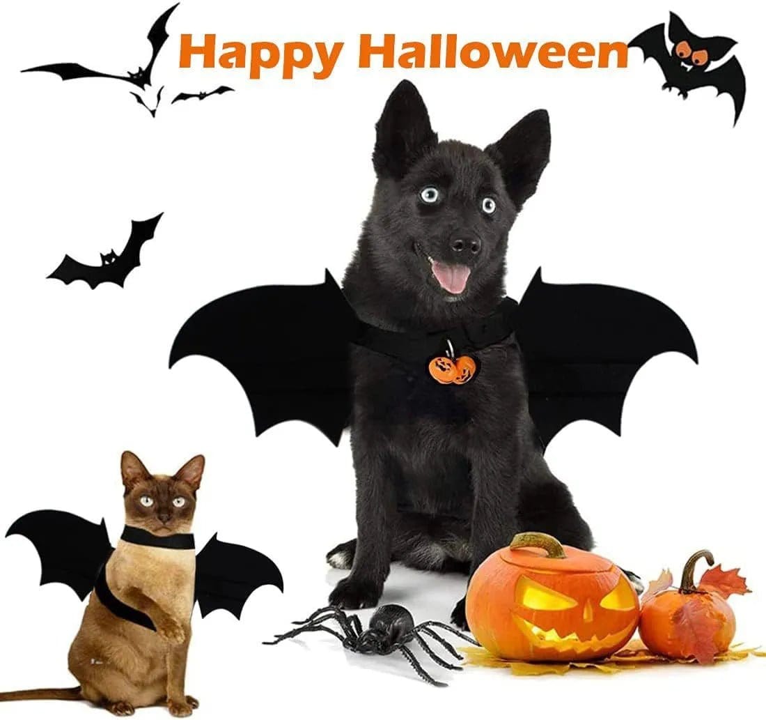 Ailes De Chauve-Souris Canines : Bell-O-Ween 🎃 - One PETS-TOP