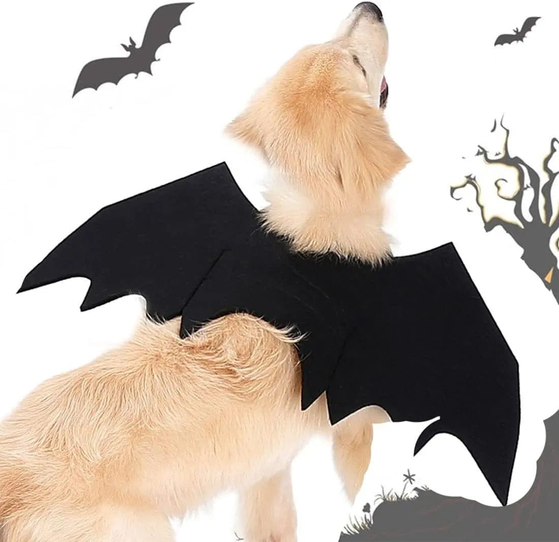 Ailes De Chauve-Souris Canines : Bell-O-Ween 🎃 - One PETS-TOP