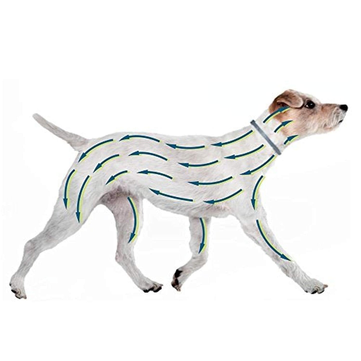 Chien – Collier Anti-Puces Et Anti-Tiques Pour Grands Chiens - 8Kg Et Plus - One PETS-TOP