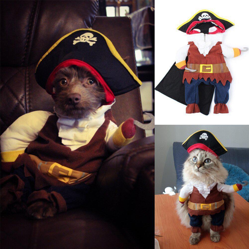 Déguisement Pirate Amusant Pour Chiens Et Chats 🏴☠️🎃🐶🐱 - One PETS-TOP