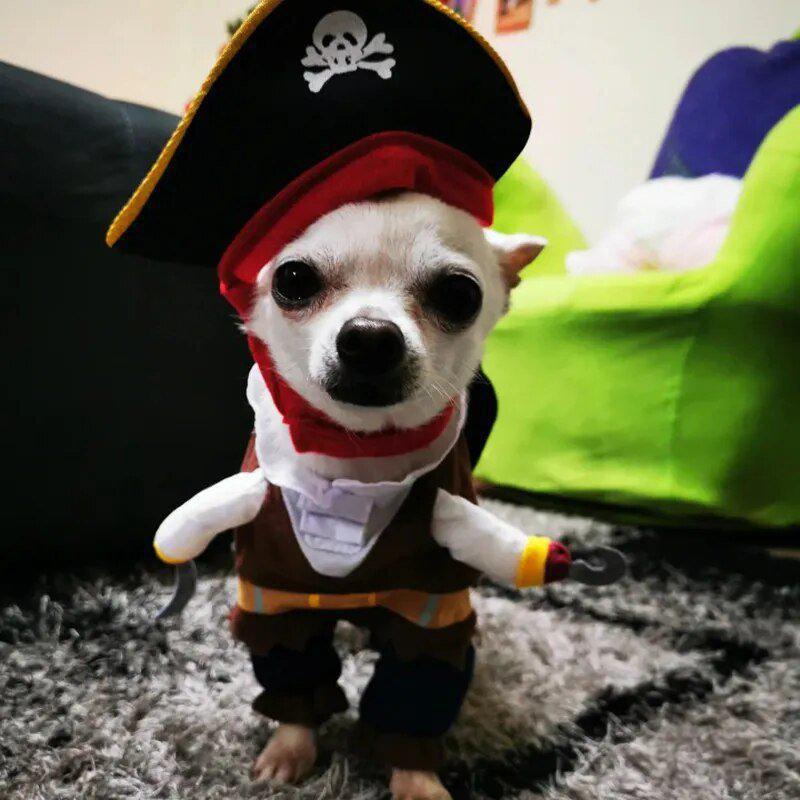 Déguisement Pirate Amusant Pour Chiens Et Chats 🏴☠️🎃🐶🐱 - One PETS-TOP