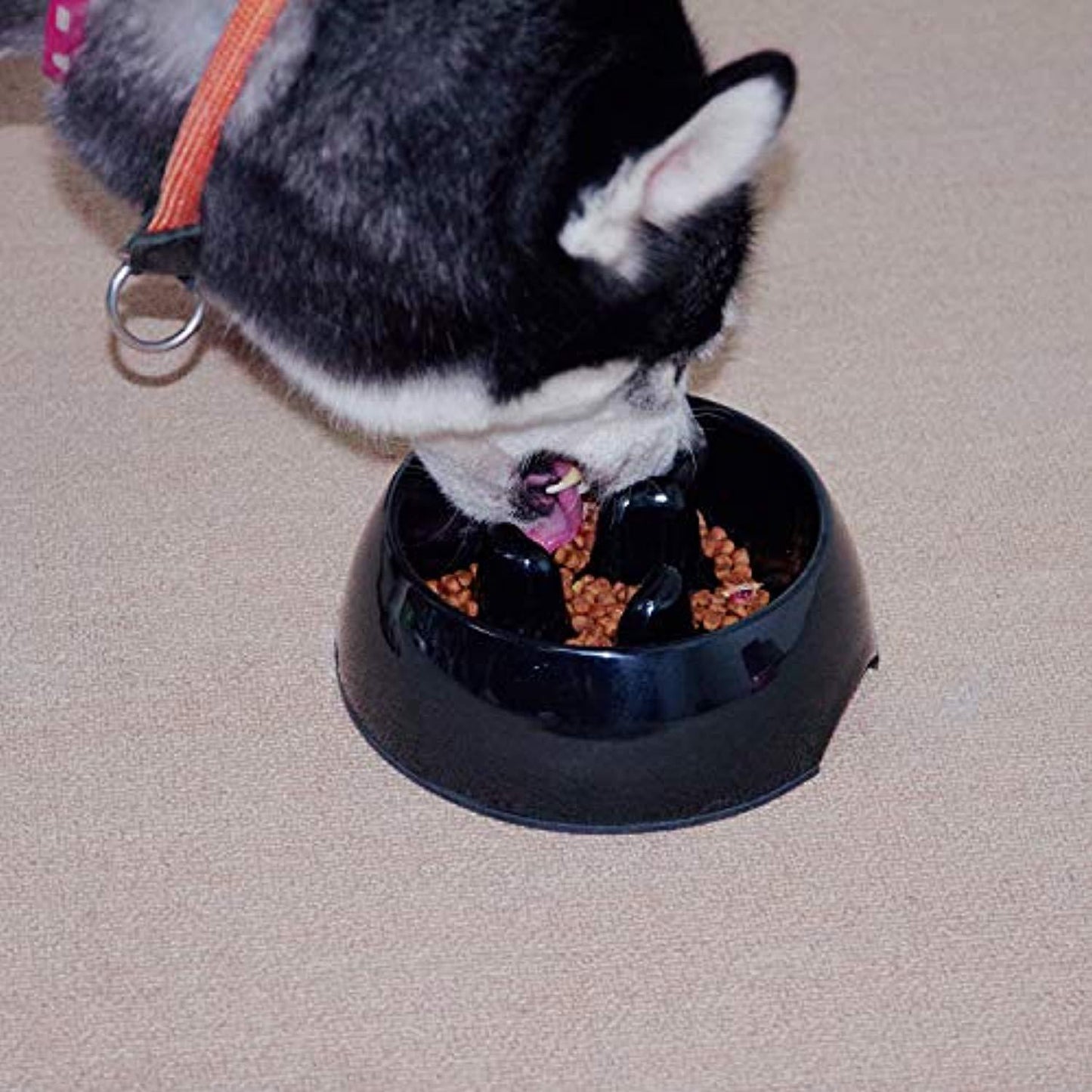 Digestidélice" - La Gamelle Anti-Glouton Pour Vos Compagnons À Quatre Pattes - One PETS-TOP