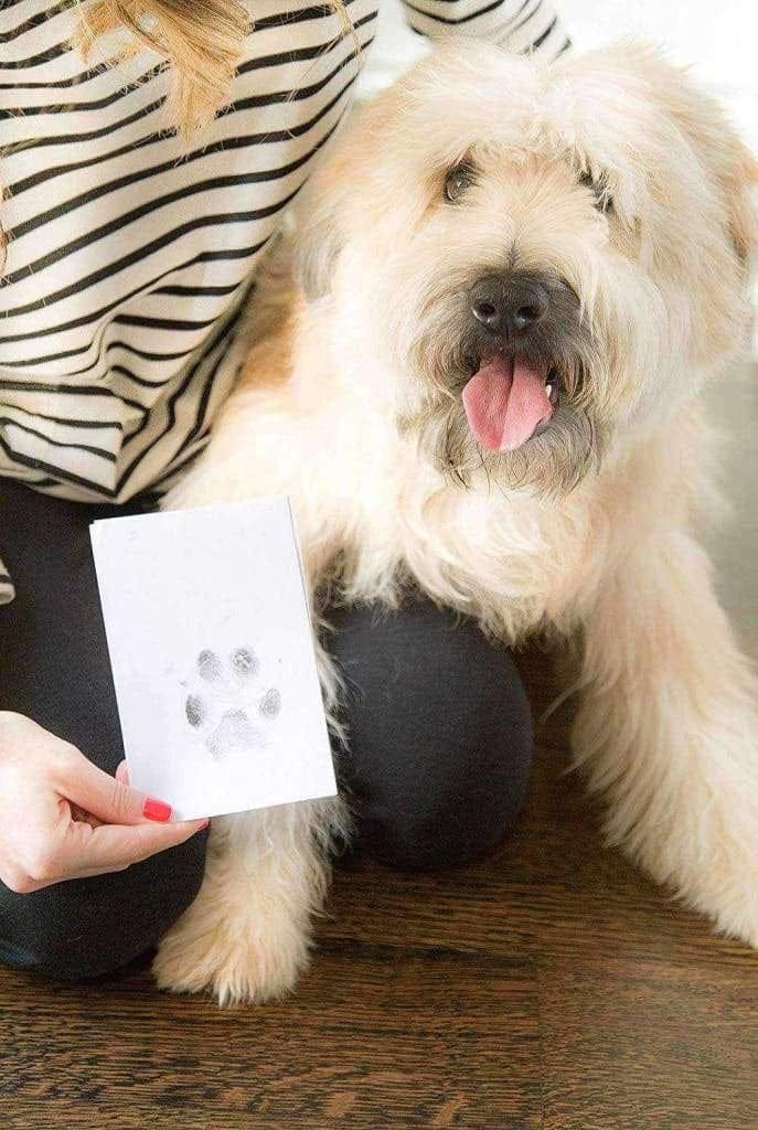 Empreinte Chien Encre Facile Easy Dogprint - One PETS-TOP
