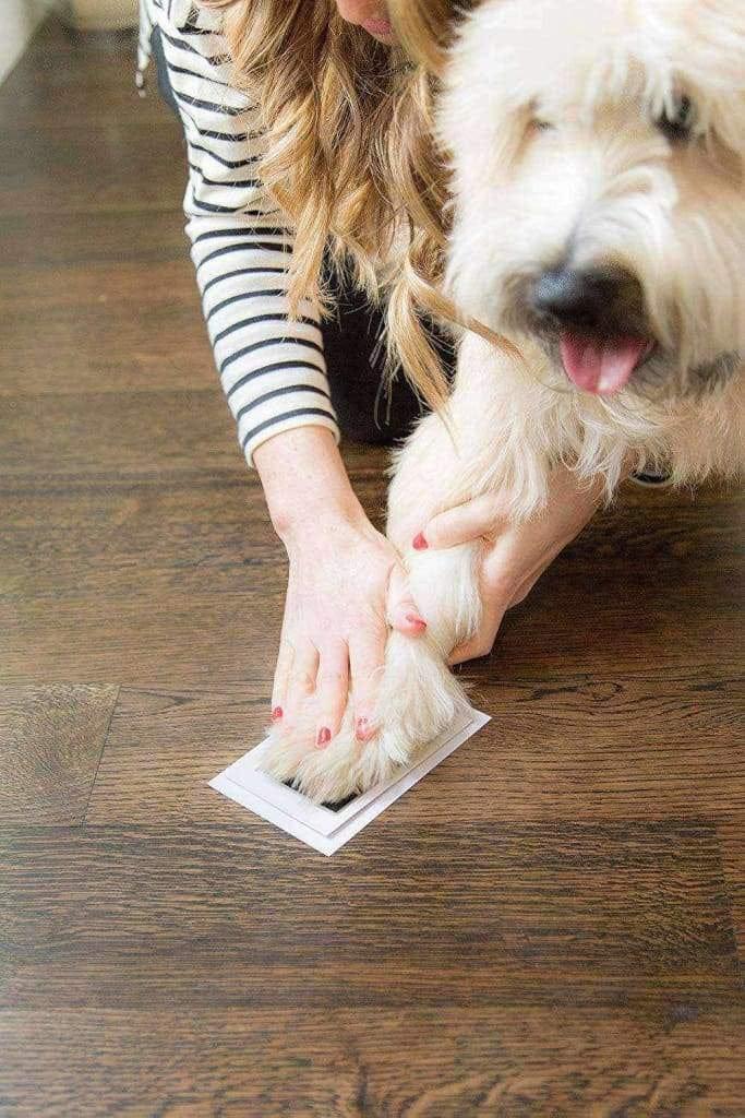 Empreinte Chien Encre Facile Easy Dogprint - One PETS-TOP