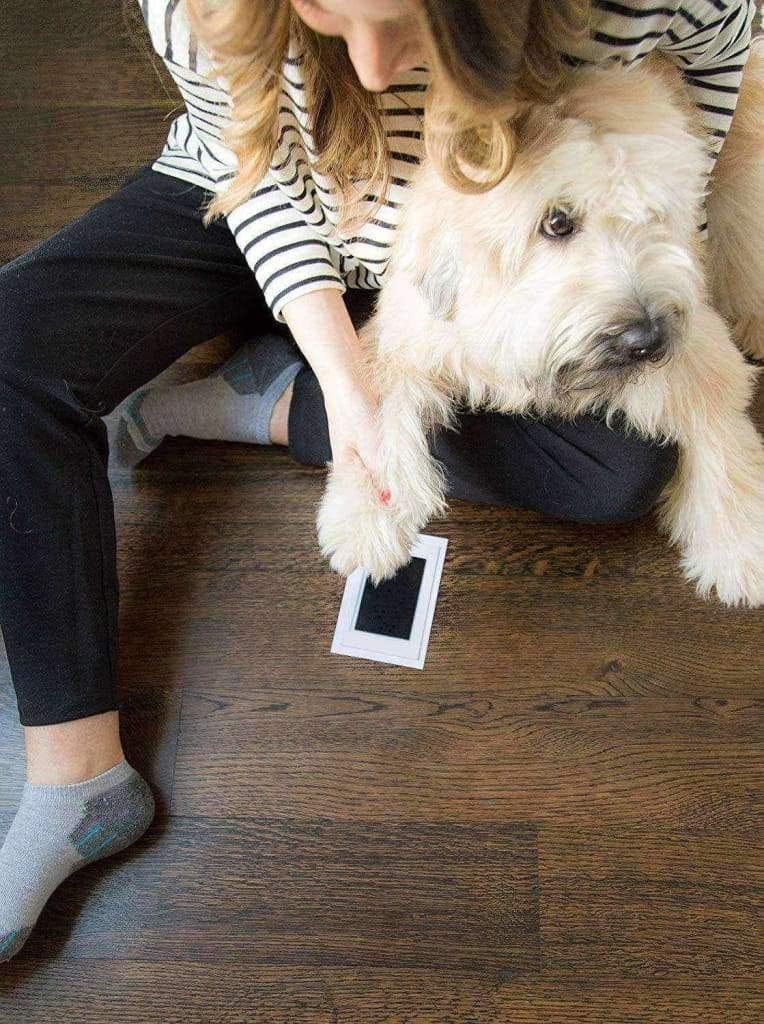 Empreinte Chien Encre Facile Easy Dogprint - One PETS-TOP