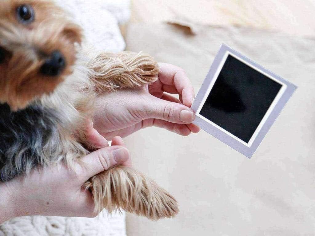 Empreinte Chien Encre Facile Easy Dogprint - One PETS-TOP