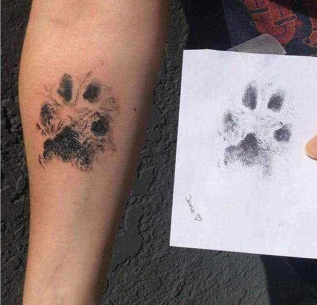 Empreinte Chien Encre Facile Easy Dogprint - One PETS-TOP