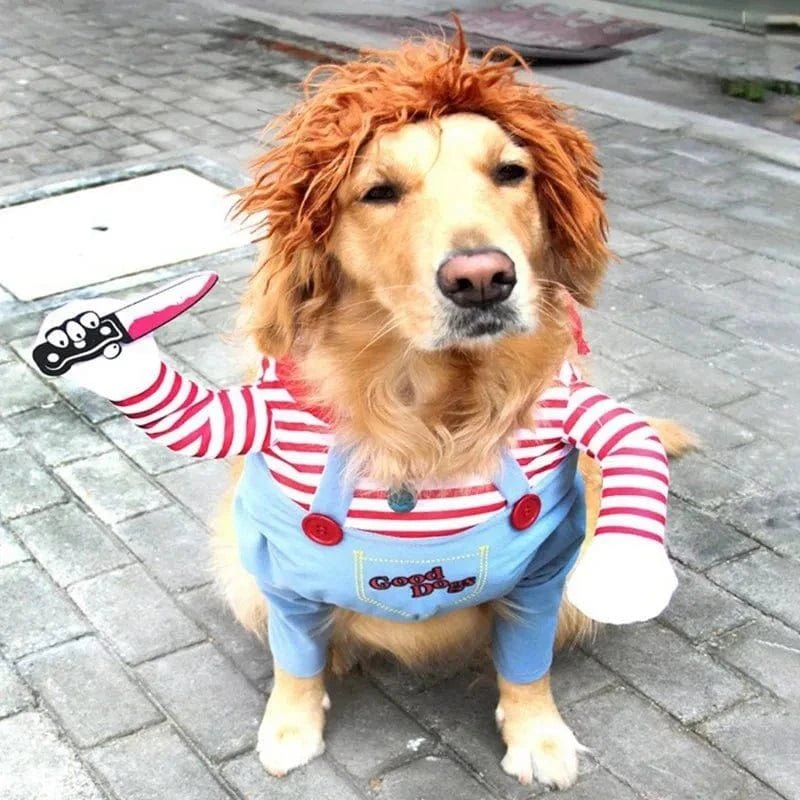 Fantaisie D'Halloween: Costume Rayé Canin 🐶 - One PETS-TOP