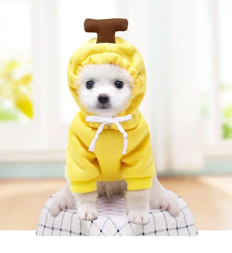 Froggiewarm: Pull Capuche Grenouille Pour Chiens ๐ธ๐ถ - One PETS-TOP