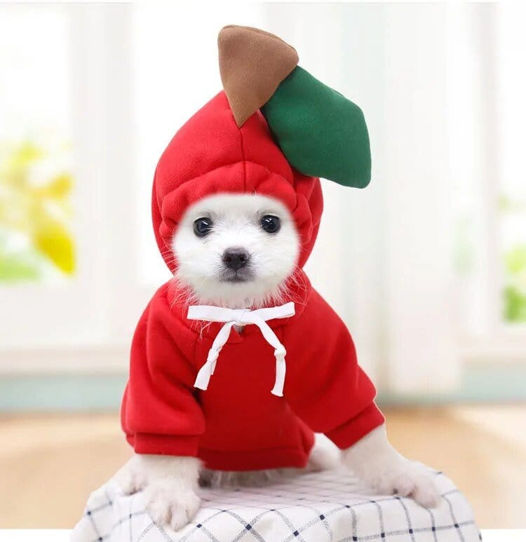 Froggiewarm: Pull Capuche Grenouille Pour Chiens ๐ธ๐ถ - One PETS-TOP