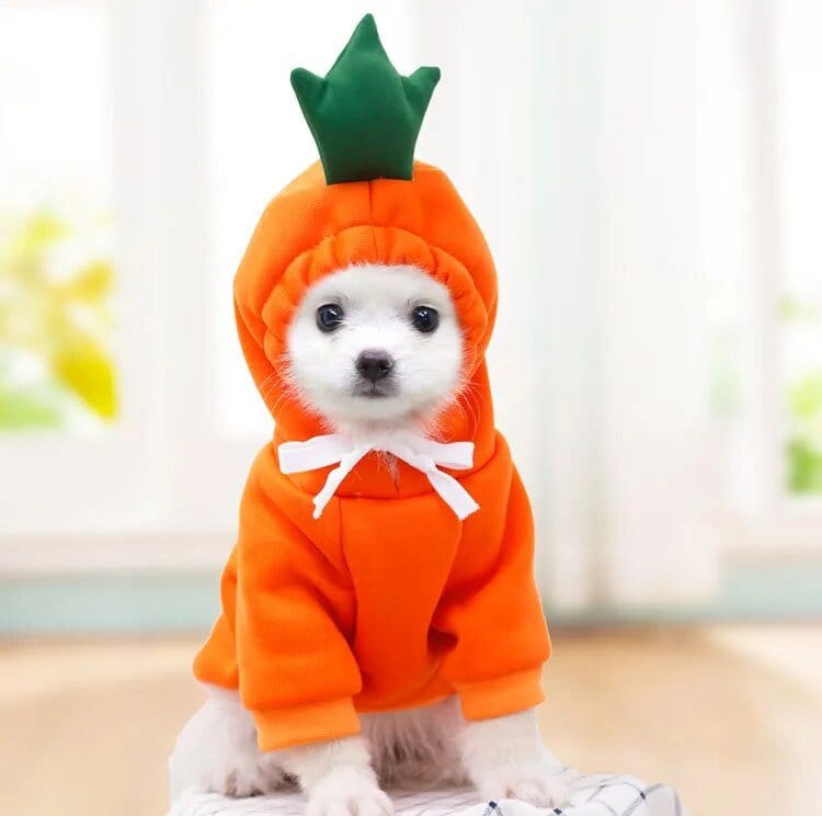Froggiewarm: Pull Capuche Grenouille Pour Chiens ๐ธ๐ถ - One PETS-TOP